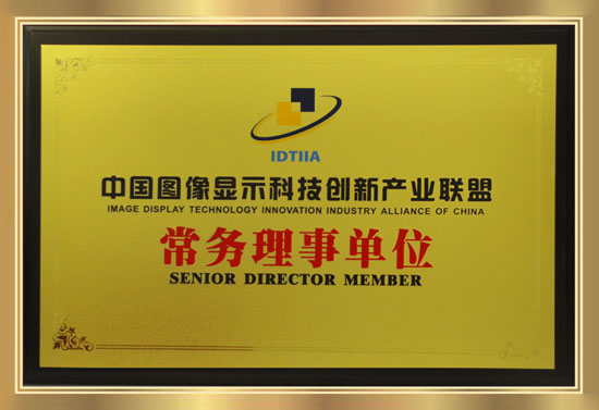 中國(guó)圖像顯示科技創(chuàng)新產(chǎn)業(yè)聯(lián)盟